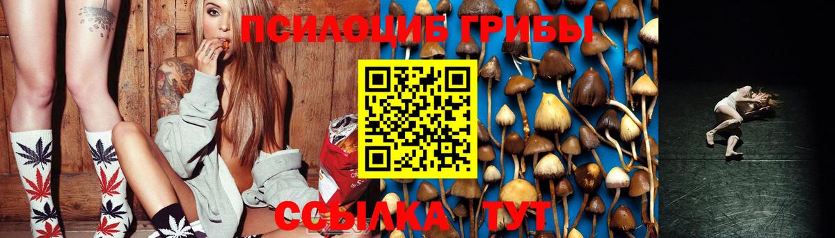 Камышлов  Галлюциногенные грибы MAGIC MUSHROOMS  Вход с VPN 