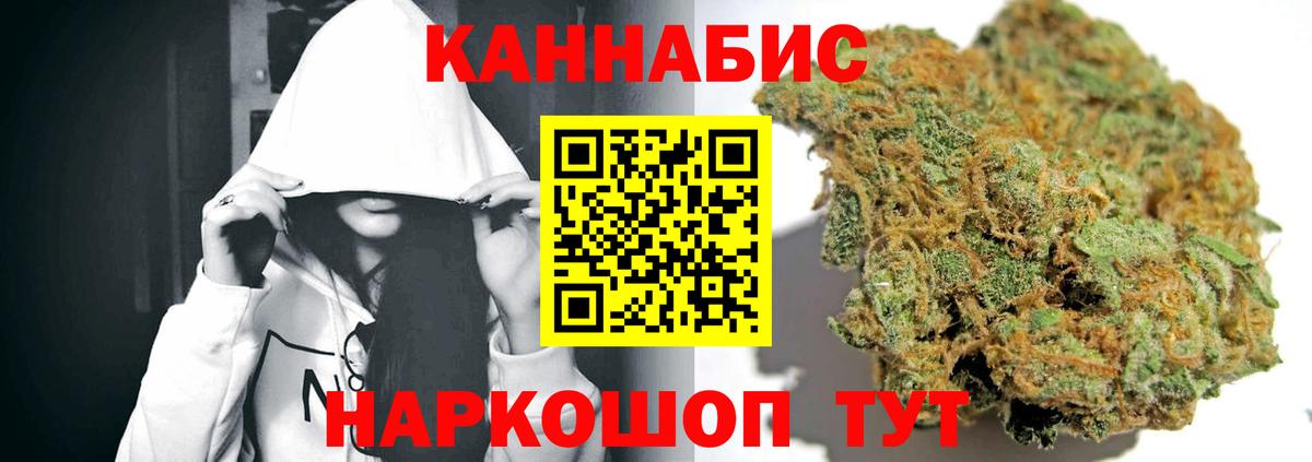 Марихуана сатива Камышлов
